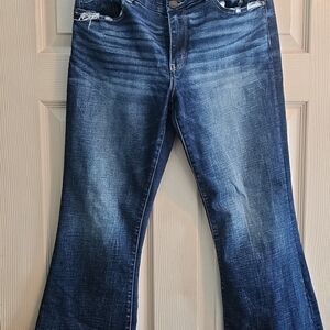 Buckle BKE Payton Blue Jeans